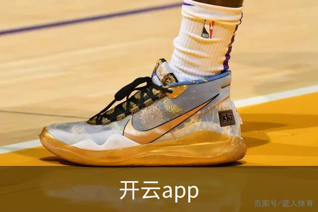 开云app公司简介